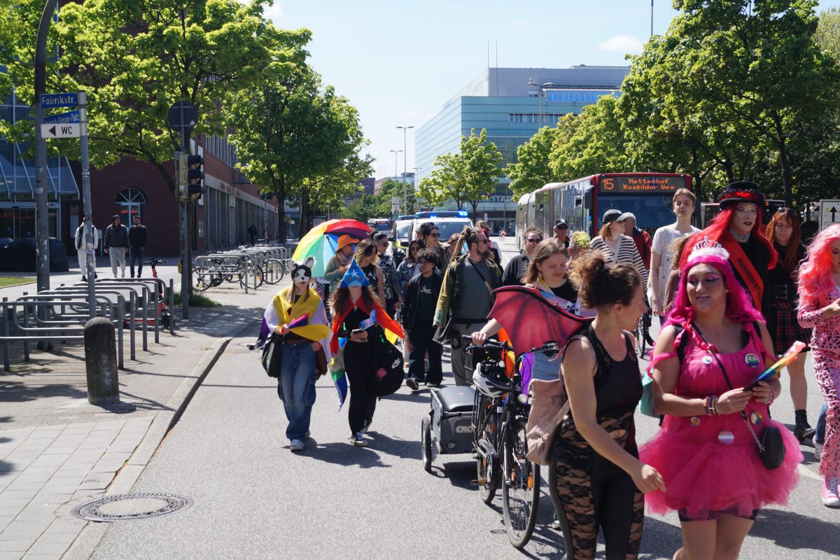 Dragwalk_bildergalerie (3)